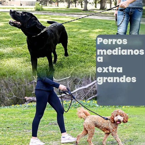 Vista 9 de Correa para perro de 6 pies, dos asas extra acolchadas, clip de mosquetón de bloqueo, reflectante para visibilidad nocturna, resistente a la Negro