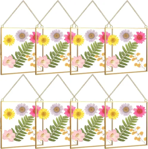 Vista 11 de Treela Marcos de vidrio con flores prensadas de 6 x 6 pulgadas, marco de fotos de doble vidrio para colgar, marcos flotantes cuadrados transparentes