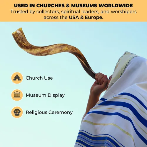 Vista 6 de YOMTOV-SHALOM Kudu Shofar a la venta Kosher de Israel Reyes Shofar Fábrica original de Shofar (13-18)