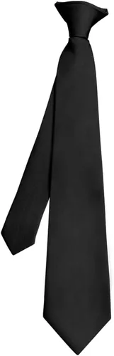 Vista 3 de Moda Di Raza Corbata de clip, corbatas para niño, corbata para niños, adolescentes, hombres clip en corbatas