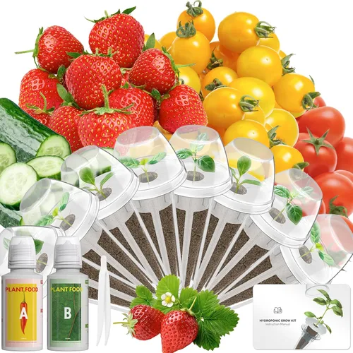 Vista 10 de Hydroponics - Vaina de semillas con albahaca genovesa y albahaca morada, kit completo de 8 cápsulas con esponja, canasta, cúpula, etiqueta