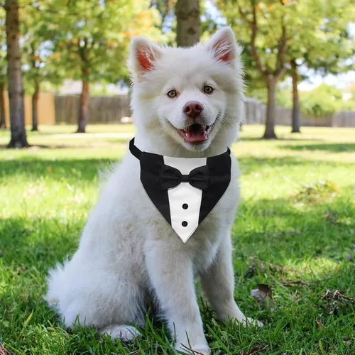 Vista 4 de GOYOSWA Traje de esmoquin para perro, collar bandana de boda con corbatín, esmoquin formal ajustable para perro, esmoquin de cumpleaños