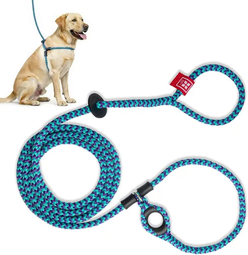 Vista 25 de Harness Lead Juego de arnés y correa para perro sin tirones, arnés antitirones para todas las razas y tamaños, diseño de cuerda acolchada de una