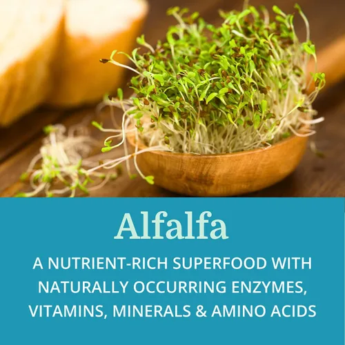 Vista 5 de SuperDigest Best Process Alkaline — Soporte digestivo multienzimático — Enzimas digestivas con alfalfa, papaína y bromelina (apto para vegetarianos)