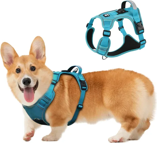 Vista 17 de Arnés para perro, chaleco ajustable mejorado a prueba de escapes, para caminar al aire libre, chaqueta suave y transpirable con tiras reflectantes