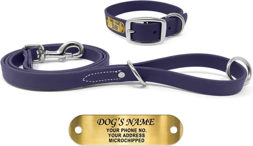 Vista 24 de Regal Dog Products Collares de perro pequeños negros impermeables con placa de nombre personalizada grabada Collar de perro de Biothane