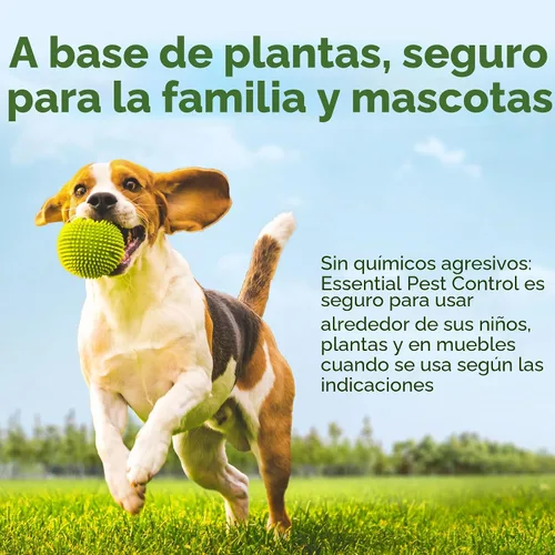 Vista 2 de BugMD Concentrado de aceite esencial para control de plagas (3.7 onzas, paquete de 2) – Spray de insectos alimentado por plantas mata rápidamente