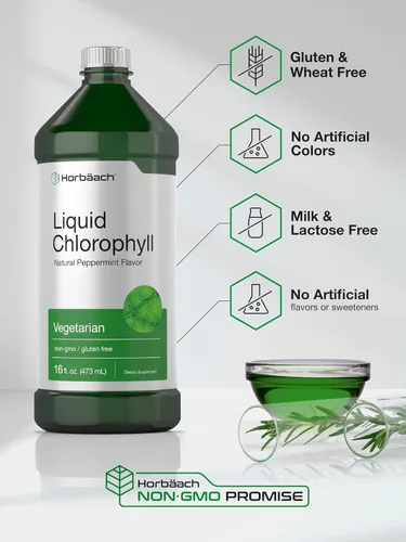 Vista 5 de Horbäach Clorofila líquida 100 mg 32 onzas líquidas (2 botellas de 16 onzas líquidas) Gotas naturales con sabor a menta Fórmula