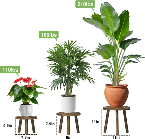 Vista 3 de Paquete de 3 soportes para plantas de interior y exterior, estilo moderno de mediados del siglo, taburete para plantas de madera, porta macetas