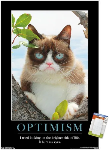 Vista 11 de Trends International Grumpy Cat - El Lado Más Brillante Póster de Pared, 14.725 x 22.375 pulgadas, Versión Enmarcada de Madera de Granero