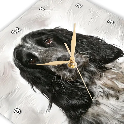 Vista 3 de 3dRose English Springer Spaniel 13x13 Wall Clock
