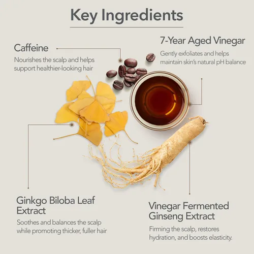 Vista 3 de 107 Champú clarificante – Champú purificante para acumulación, suciedad, aceite, picazón, cuero cabelludo seco – Vinagre fermentado y ginseng