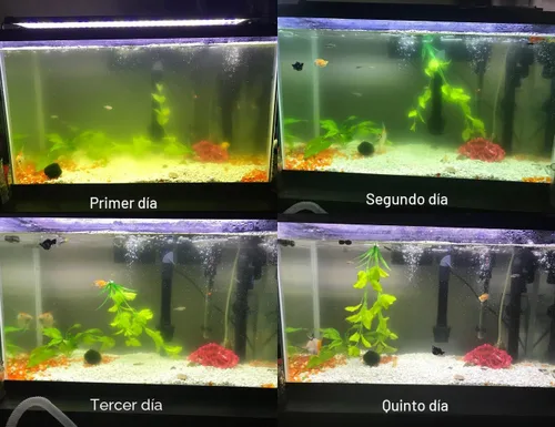 Vista 2 de Filtro de Acuario Interno Verde Mata Mosquitos de Agua Bomba U-V