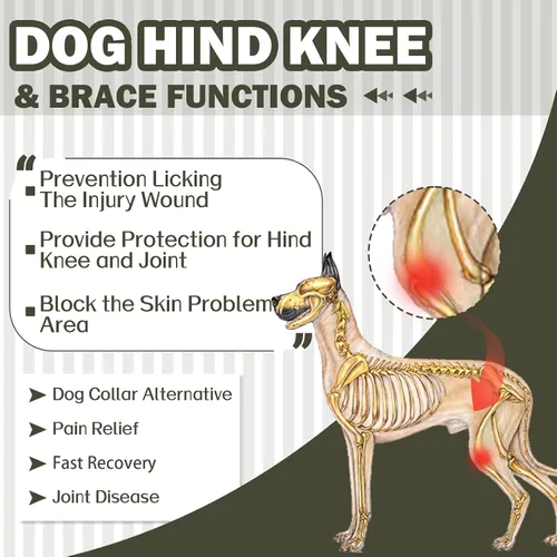 Vista 3 de ROZKITCH Manga para Perro para Patas Traseras, Manga para Mascotas para Evitar que el Perro Lame Heridas, Protector de Codo, Traje de Recuperación
