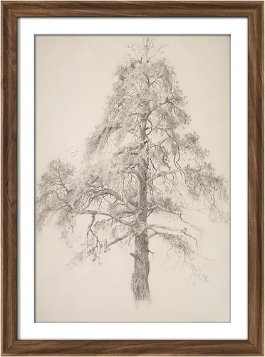 Vista 226 de MUDECOR Lienzo enmarcado prémium para pared, pinos nevados en bosque de invierno, ilustraciones modernas, arte contemporáneo, escénico, divertido