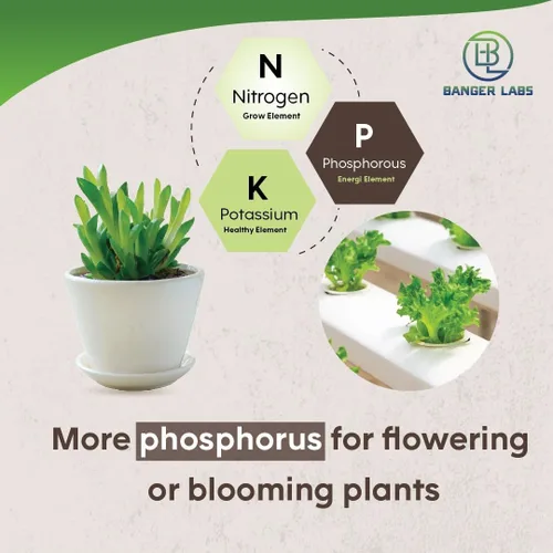 Vista 5 de Kit de nutrientes hidropónicos: cultiva, florece, micro alimento para plantas para cultivar verduras, frutas, flores, hierbas para suelo