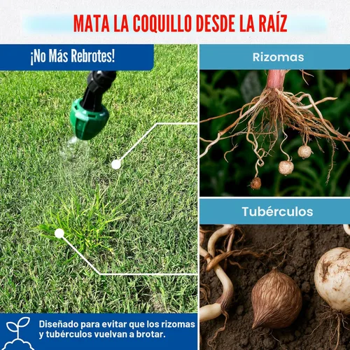 Vista 6 de Plus - Herbicida para césped - Mata nuez morada y amarilla para césped con surfactante premezclado, mezcla herbicida segura para césped y mascotas