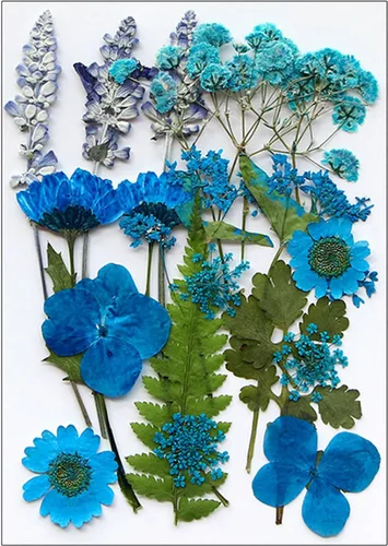 Vista 17 de Natural Pressed Dried Flower for Epoxy Resin Dry Flowers and Leaves Set for Soap Jewelry Making Scrapbooking Phone Case Decoration Section B