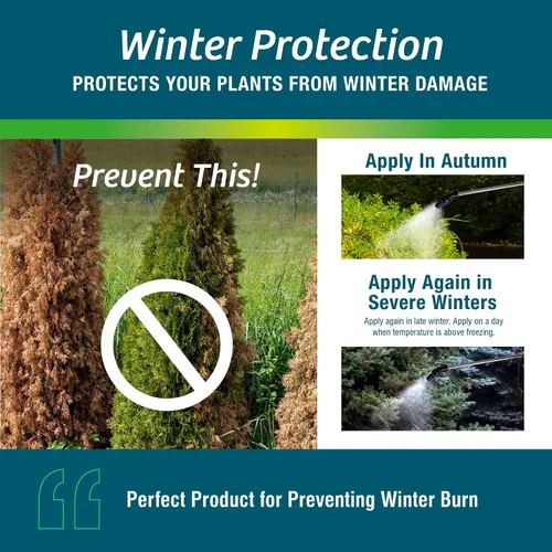 Vista 2 de Wilt-Pruf® Concentrado Protege contra daños en invierno, sequías y estrés Simplemente rocía y deja secar Bloquea la humedad con película