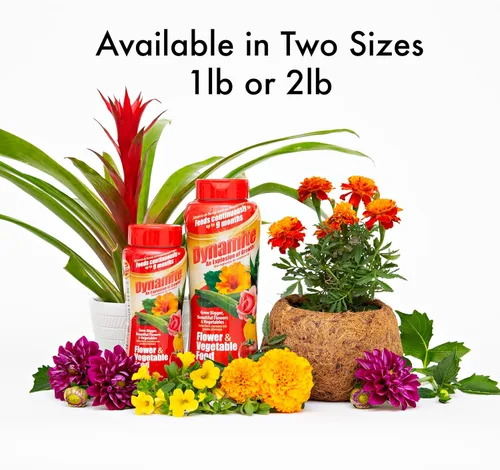 Vista 3 de Dynamite Alimento completo para plantas de flores y verduras1 lb