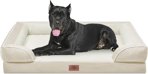 Vista 49 de Comfort Expression - Cama ortopédica para perros medianos, 28 x 19 pulgadas, cama impermeable y de apoyo de espuma con cojines removibles, sofá