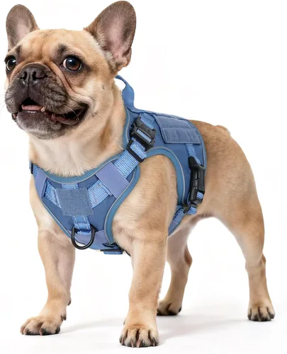 Vista 56 de rabbitgoo - Arnés táctico para perros pequeños, arnés resistente para mascotas con asa, chaleco de servicio sin tirones para razas pequeñas, chaleco