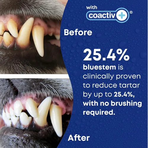 Vista 3 de bluestem Refresca el aliento de perro y gato, aditivo de agua dental seguro y eficaz, 17 onzas, pollo