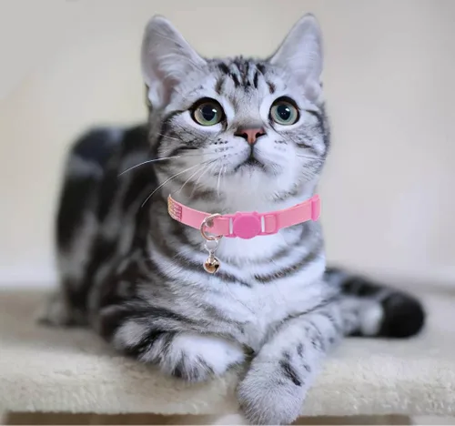 Vista 7 de THAIN Bling cat Collar de gatito Rainbow Rhinestone Breakaway Diamond con campana Terciopelo suave liberación rápida (rosa)