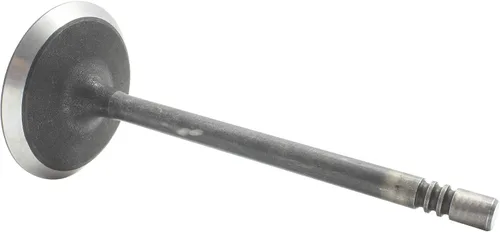 Vista 3 de DNJ Válvula de admisión IV1100 para Chrysler 1999-2012, Dodge, Jeep, Mitsubishi, Ram 1500, Aspen, Commander 3.7L-4.7L V6 12V SOHC 226cid
