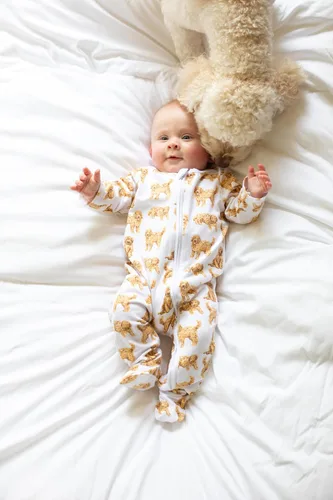 Vista 10 de Mud Pie Cama unisex para bebé de raza de perro
