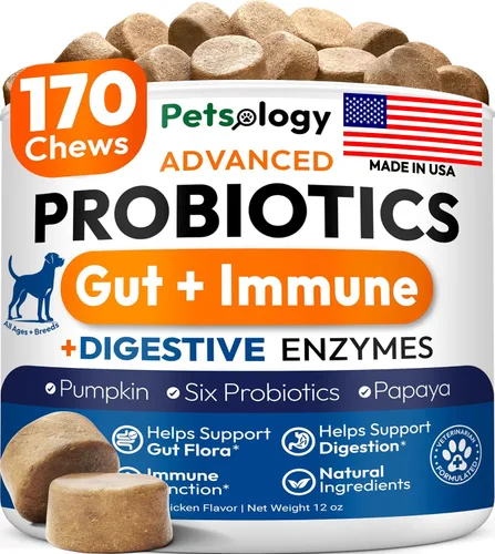 Vista 14 de (Paquete de 2) Probióticos para Perros - 340 Masticables Probióticos para Perros - Enzimas Digestivas y Prebióticos - Apoyan la Salud Intestinal