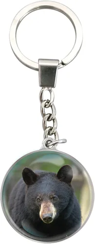 Vista 20 de Deluxebase Magnidome Llavero de domo en forma de cúpula con cadena de acero inoxidable. Llavero de cúpula de cristal