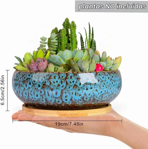 Vista 2 de ARTKETTY Macetas para suculentas, maceta grande de 7.5 pulgadas con bandeja de bambú, macetas de bonsái poco profundas con drenaje, maceta