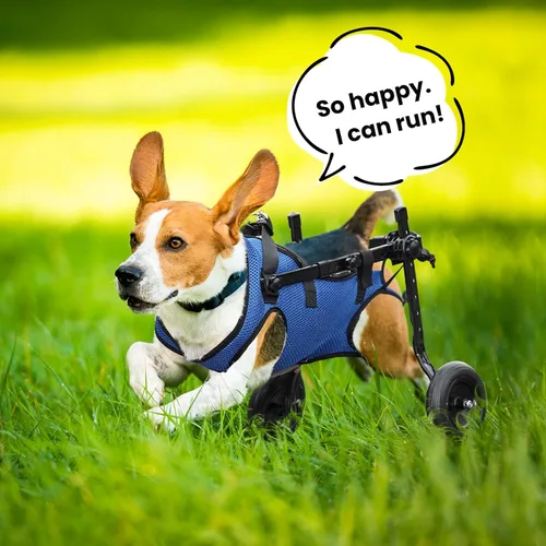 Vista 6 de Silla de ruedas para perros para patas traseras, Silla de ruedas para perros pequeños, Carrito ajustable para mascotas con ruedas, Sillas de ruedas