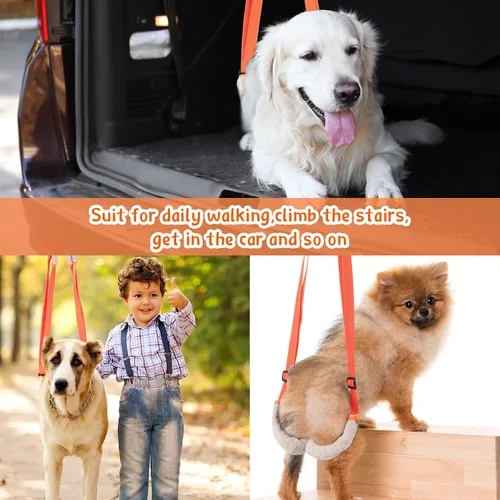 Vista 12 de Mixweer - Arnés de soporte para patas traseras de perro, 2 unidades, color Ayuda para problemas de movilidad de personas mayores, correas