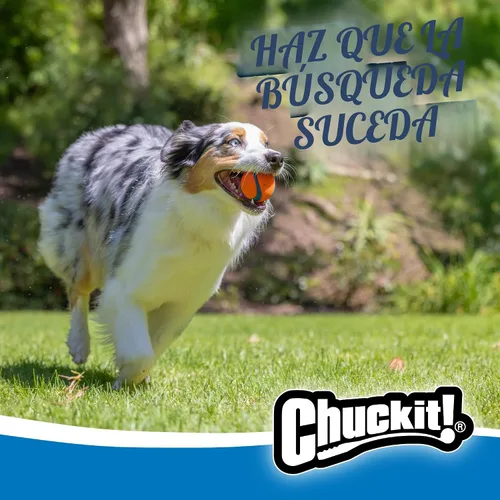 Vista 3 de Chuckit! ¡Tíralo! Ultra bola, medio (2.5 pulgadas) 2 paquete