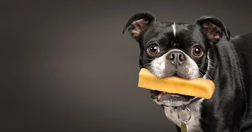 Vista 7 de peaksNpaws Yak Cheese - Masticables para perros del Himalaya, con alto contenido de proteínas, golosinas naturales para perros pequeños, sin