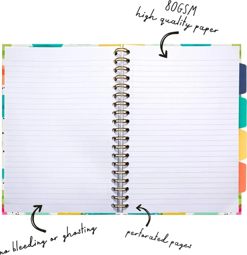 Vista 4 de Pukka Pad - Cuaderno de 5 asignaturas, 3 unidades, 7 x 10 pulgadas. 100 Premium 2.82 oz/m² (80 GSM)