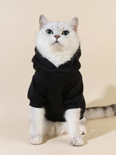 Vista 2 de QWINEE Sudadera con capucha para gatos con estampado de oso de dibujos animados, transpirable, elástica, con gorro, ropa cálida para gatos y perros