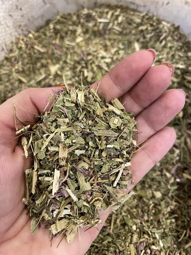 Vista 3 de Echinacea seca orgánica (Echinacea Purpurea) 6 Oz.