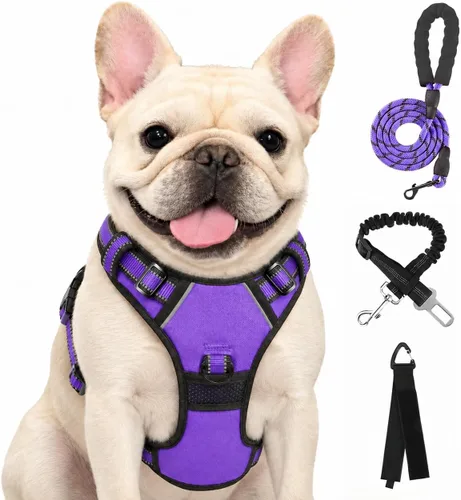 Vista 53 de FURRYFECTION - Arnés para perro a cuadros con correa y cinturón de Rosa