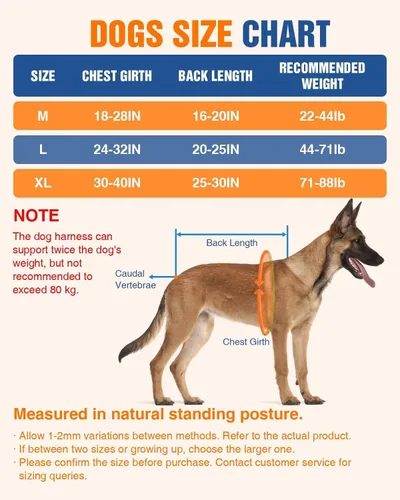 Vista 8 de Juego de arnés para correr para perros con cinturón y correa de absorción de golpes Hands-Free Control, Easy to Put On Design for Medium to Large