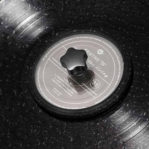 Vista 8 de Douk Audio Record Clean Label Saver Album LP Protector de limpieza de vinilo impermeable Cuidado de la abrazadera (negro)