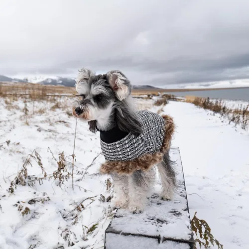 Vista 8 de Suéter para perro con capa, suéter de algodón perla para cachorros, ropa de punto para clima frío para perros pequeños, ropa clásica de cuello