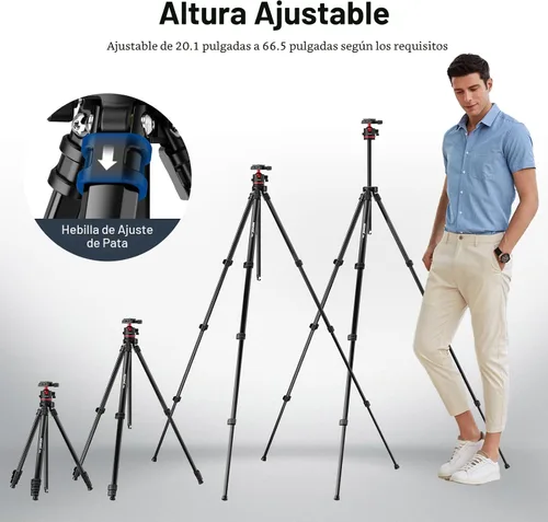 Vista 7 de NEEWER Basics - Trípode de viaje de 66.5"/169 cm para cámara, soporte DSLR portátil ligero con cabeza de bola, placa QR tipo Arca, soporte