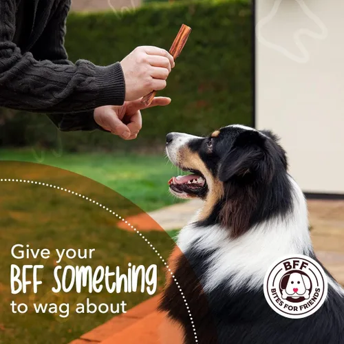 Vista 4 de Bites for Friends Bully Sticks Golosinas para perros de 6 pulgadas de larga duración, masticables naturales sin cereales sin gluten, golosinas