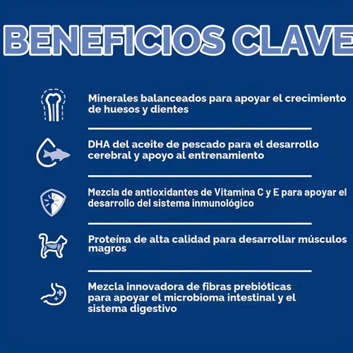 Vista 5 de Hill's Science Diet Comida seca para gatos de fórmula para gatitos
