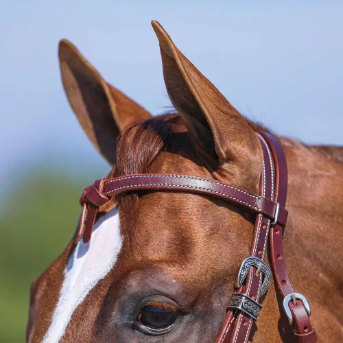Vista 4 de Schneiders Double S Latigo Lined Futurity Browband Headstall Premium Horse Headgear Soft Latigo Lining Adjustable Size Durable Harness