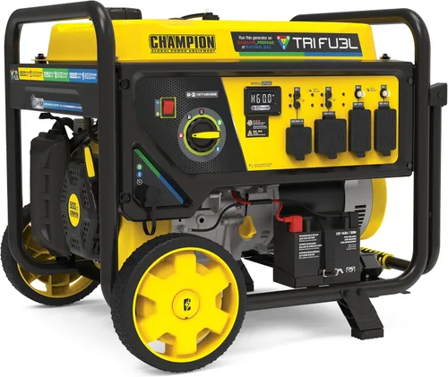 Vista 19 de Champion - Generador portátil de 16,875 vatios de arranque eléctrico