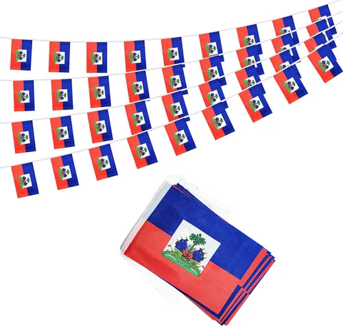 Vista 5 de Bandera argentina de 50 pies con cadena de bandera argentina, mini bandera argentina pequeña, para decoración de fiestas, tiendas y bares